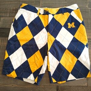 University of Michigan Stretch Shorts